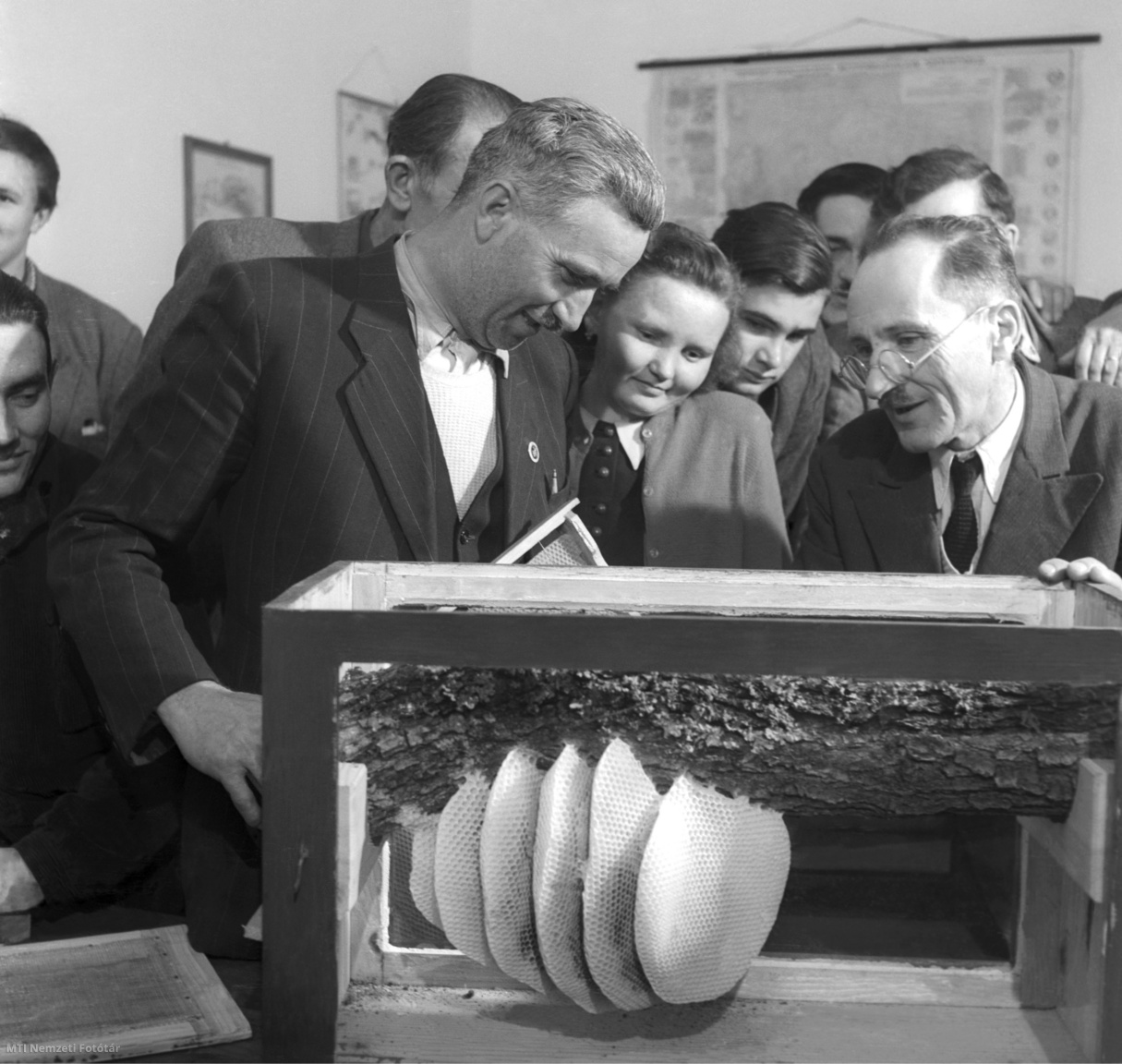 Lengyel, 1954. december 5., Szabó Imre, a túrkevei termelőszövetkezet méhésze és Seres Béla, a lengyeli tangazdaság méhésze a méhészeti mesterképző tanfolyam záróvizsgáján.