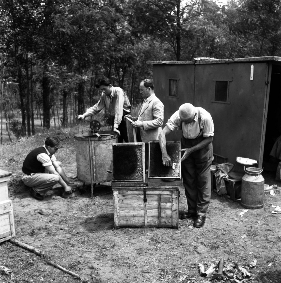 Tápióság, 1954. június 7. Nógrádverőcei méhészek - egy vándor méhészcsoport tagjai - mézet pergetnek a tápiósági akácerdőben.