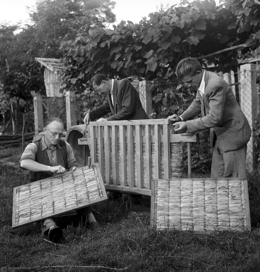 Püspökmolnári, 1954. július 24. A püspökmolnári méhészszakkör tagjai kaptárak oldallapjait készítik egy szalmaprés segítségével.