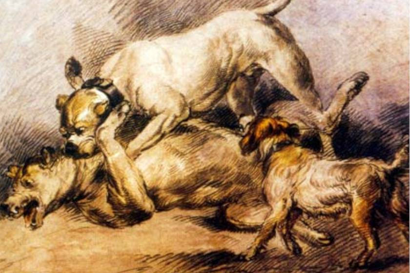 Harcoló kutyák (George Morland képe, 1800)