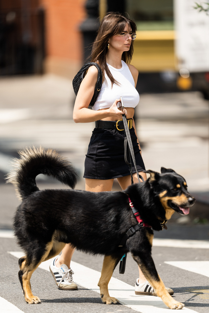 Emily Ratajkowski legutóbb ritkán látott kutyájával sétált New York utcáin
