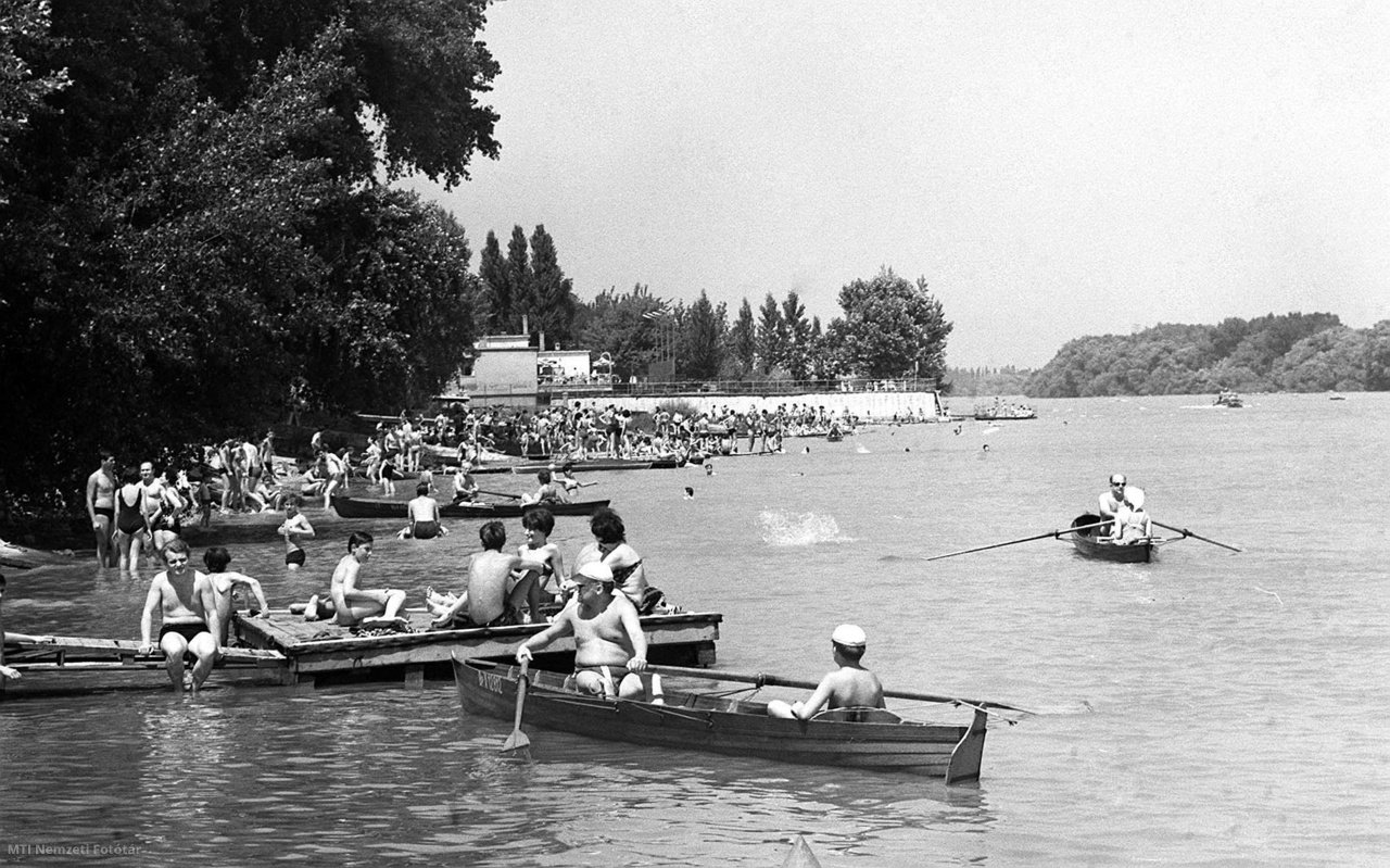 Budapest, 1967. június 25. Csónakázók, fürdőzők a Római-parton. 