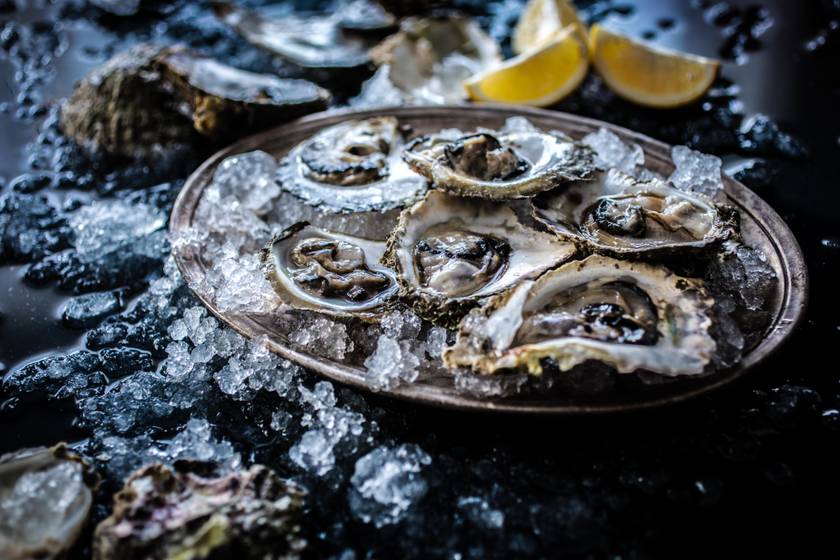 gastro-oysters-optimized-for-web-maja-danica-pecanic
