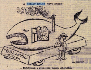Karikatúra a bálnáról