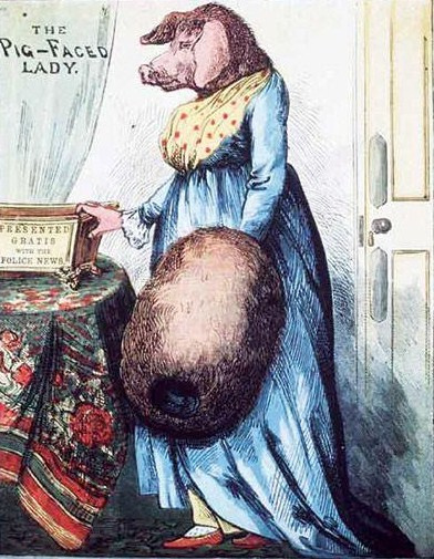 A Manchester Square-i disznófejű hölgy (korabeli illusztráció)