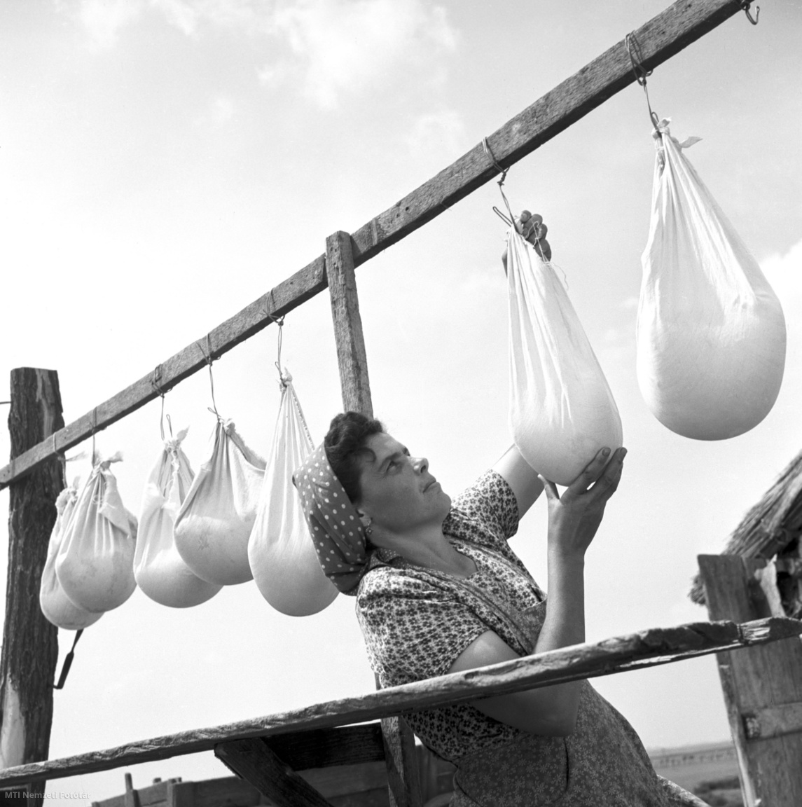 Hajdúböszörmény, 1953. május 28. Szekeres Gáborné, a Vörös Csillag Termelőszövetkezet (tsz) juhászának a felesége gomolya sajtot készít.