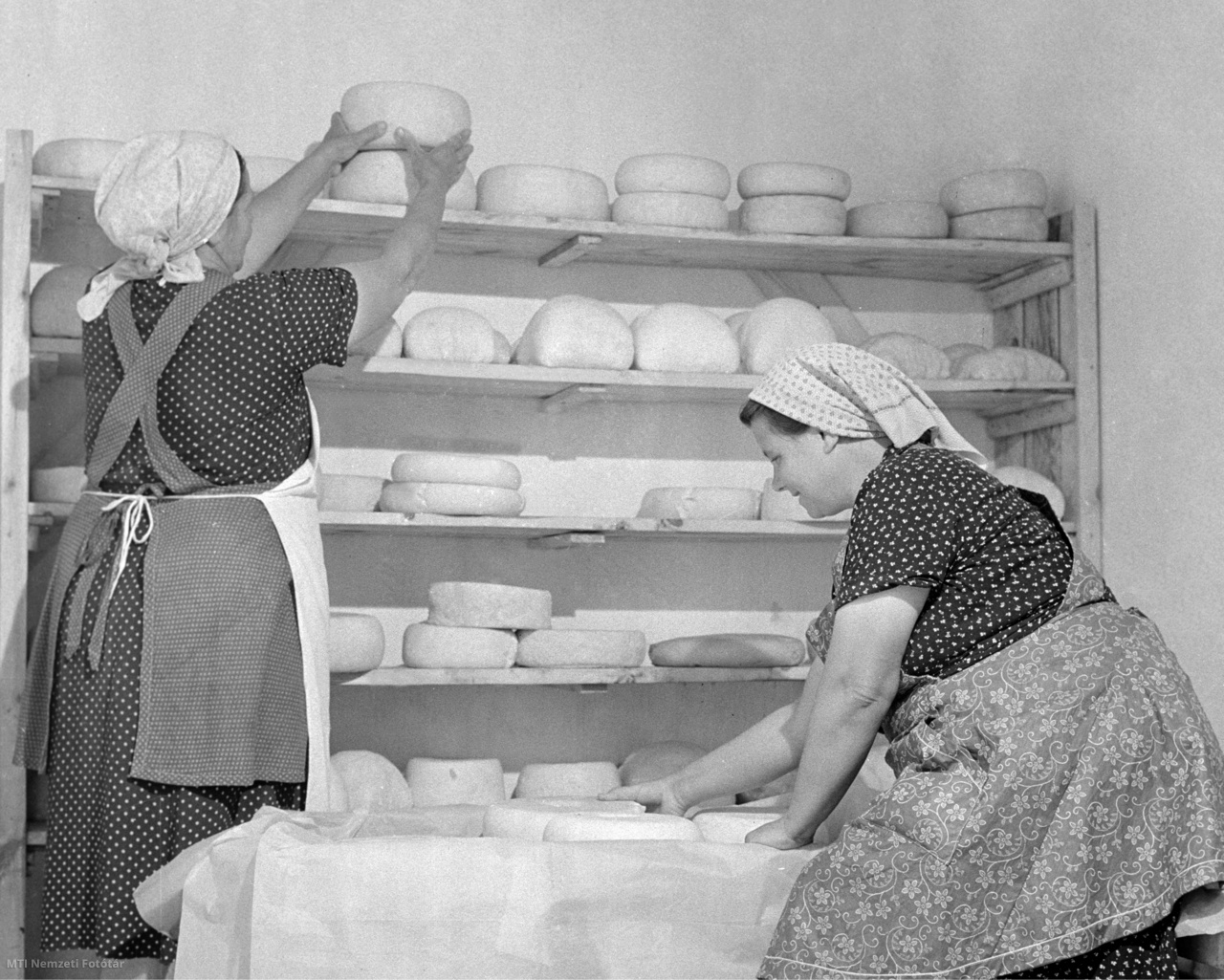 Tatárszentgyörgy, 1958. július 21. Az elkészült sajtokat pakolják a tatárszentgyörgyi juhtenyésztő szakcsoport dolgozói a tej- és sajtfeldolgozóban, ahol túrót, sajtot és egyéb juhtejterméket állítanak elő.