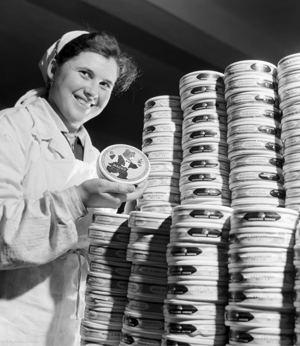 Répcelak, 1959. február 2. Fülöp Edit, a Répcelaki Sajtgyár dolgozója a szállításra váró, Mackó márkanevű ömlesztett cikksajt dobozát mutatja a raktárban. A gyár naponta hétféle ömlesztett sajtból 80 mázsát készít.