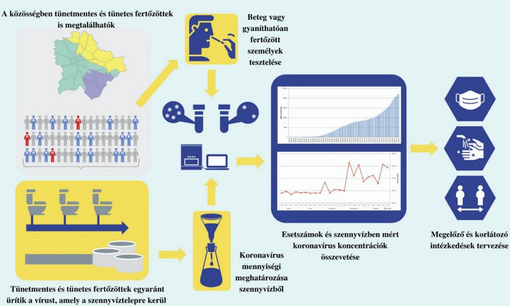 A szennyvízalapú epidemiológia folyamata