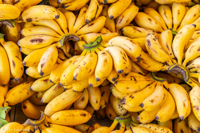 Magas vitamintartalma és praktikus csomagolása miatt a banán igazán kedvelt gyümölcsféle