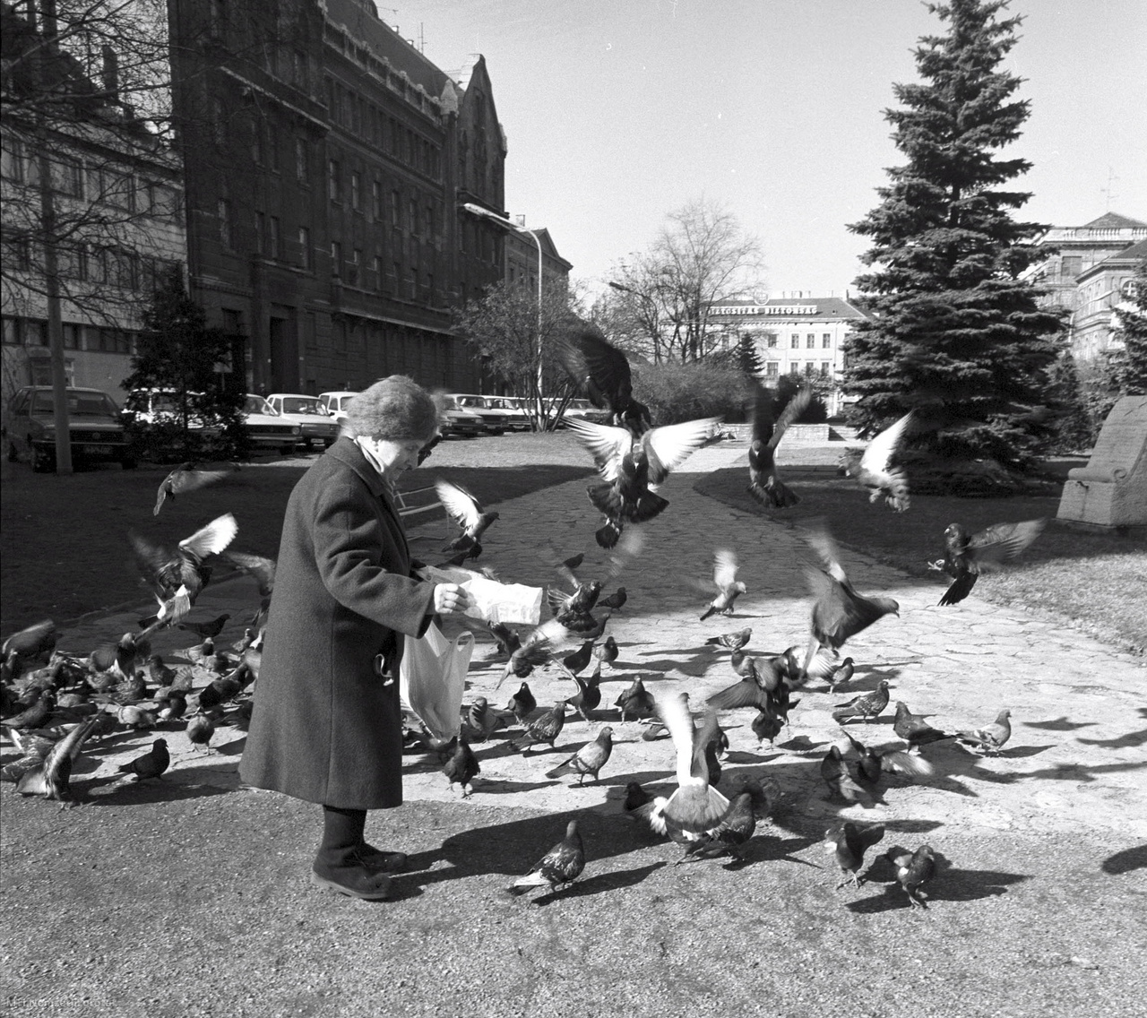 Sopron, 1987. február 26. Galambinvázió a város egyik terén. Sopron nemcsak a műemlék és az idegenforgalom városa, hanem a galamboké is. Van aki szereti, eteti őket, és van olyan, aki védekezik ellenük, illetve a nyomaik ellen. Erre példa a közelmúltban fölújított világhírű Storno-ház: az épület azon részeit, ahová a galambok le tudnának szállni, volfrámszállal szőtték be, így riasztva el onnan a madarakat.