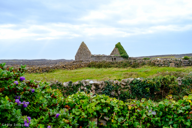 Írország Inis Mór nevű szigetén ilyen szép zöld a táj