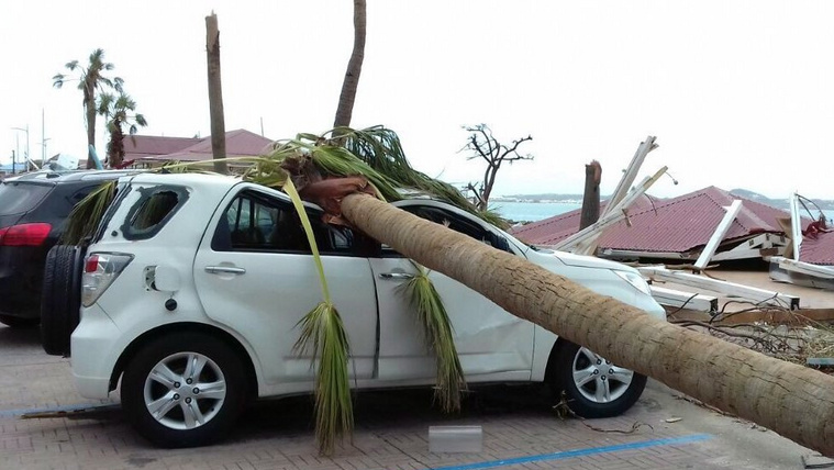 Pálmafa dőlt egy parkoló autóra Marigotban