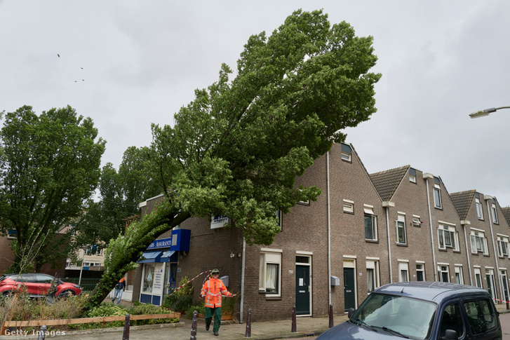 A Poly fákat döntött ki Hollandiában