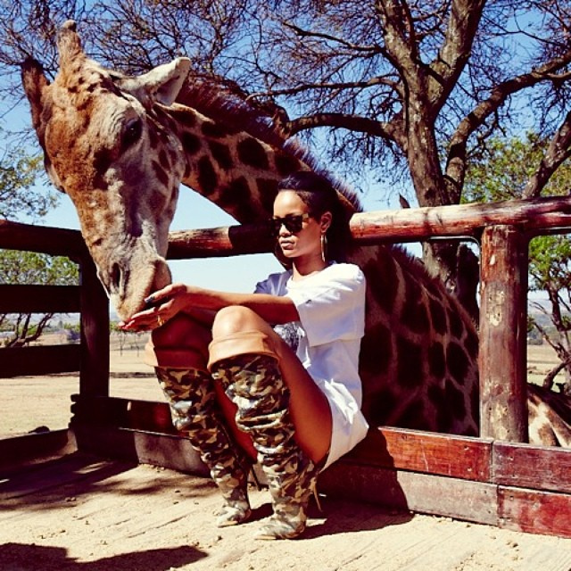 Cuki a zsiráf, de hogy tetszik Rihanna?