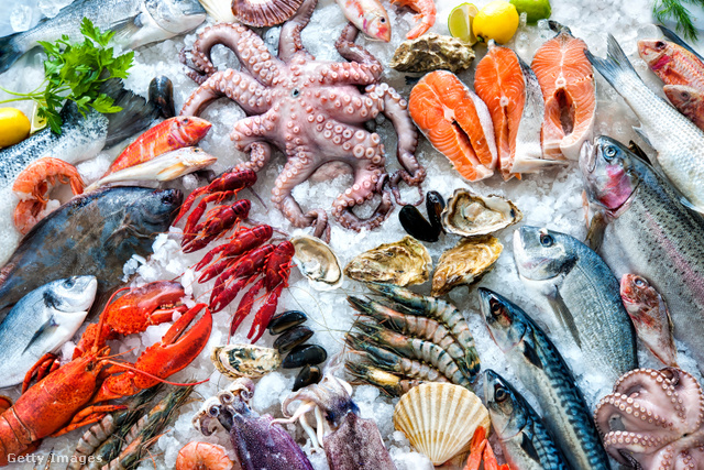 A nyers halak és tengeri herkentyűk fogyasztásánál nagyon sok múlik a frissességen