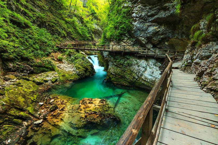A Vintgar-szurdok Szlovénia egyik leghíresebb kanyonja, ahol igazi kalandban lehet része a kirándulóknak, az út vízeséseket is érintve, sokszor fahidakon, pallókon keresztül vezet végig a rohanó patak mentén, Bled közelében. Belépőjegyet a helyszínen vagy elővételben online válthattok. A jelölt útvonal pár óra alatt, könnyen teljesíthető.
