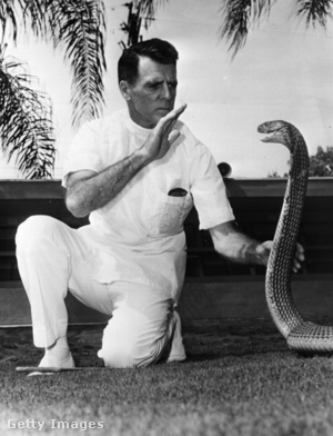 Bill Haast „kígyót bűvöl” 1972-ben