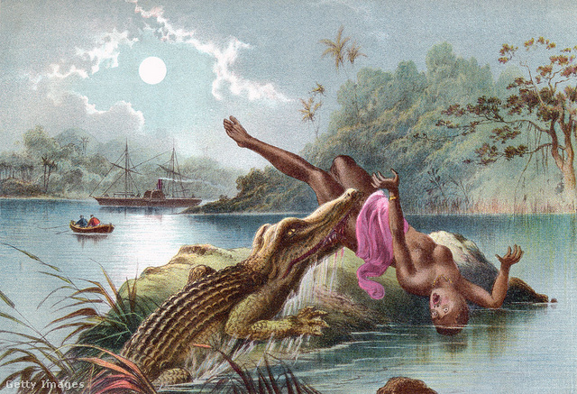 Krokodiltámadás illusztrációja a 19. századból