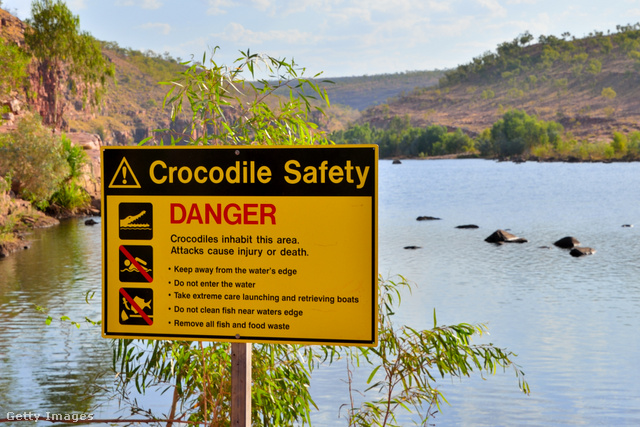 Figyelni kell a jelzéseket és óvatosan eljárni, hogy elkerülhetővé váljanak a krokodiltámadások