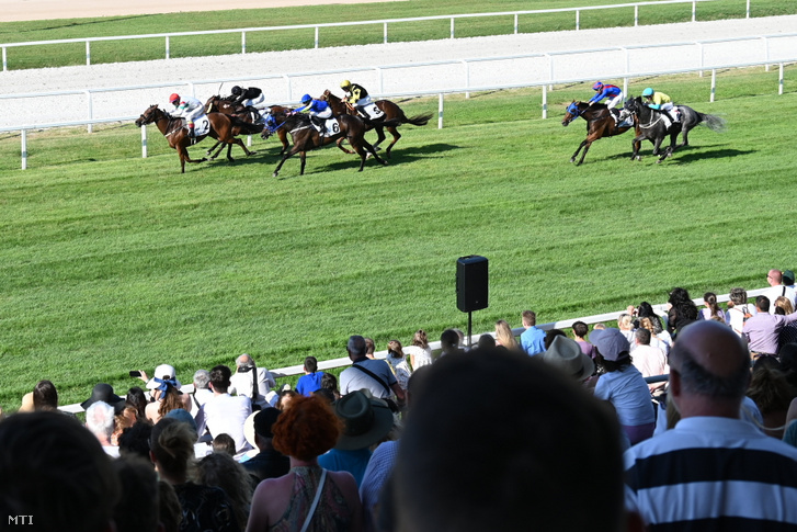 A VIII. futam mezőnye a 101. Galopp Magyar Derby napján Budapesten a Kincsem Parkban 2023. július 2-án