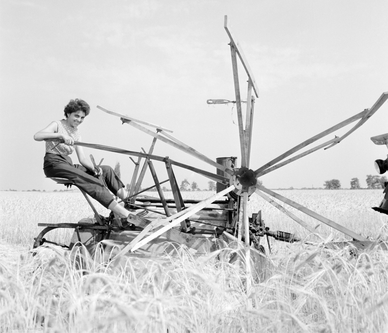 Gara, 1959. június 17. Vörös Erzsébet, egyetemet végzett gyakornok egy aratógépen ülve segédkezik a garai állami gazdaság egyik gabonatábláján az aratásban