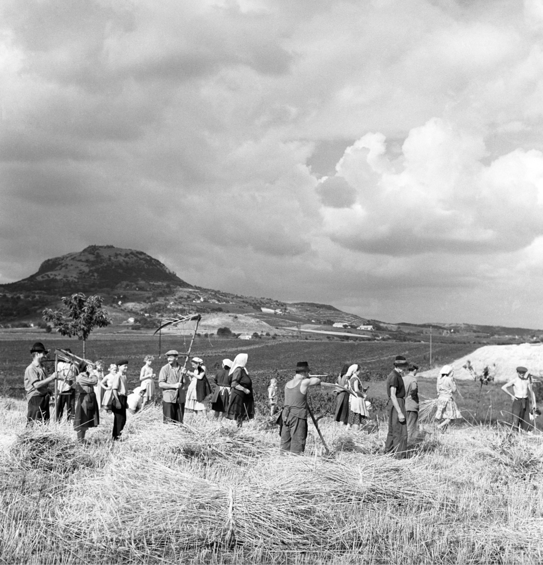 Nemesgulács, 1961. július 12. Végeztek a kézi kaszálással a nemesgulácsi Petőfi Termelőszövetkezet (Tsz) aratómunkásai