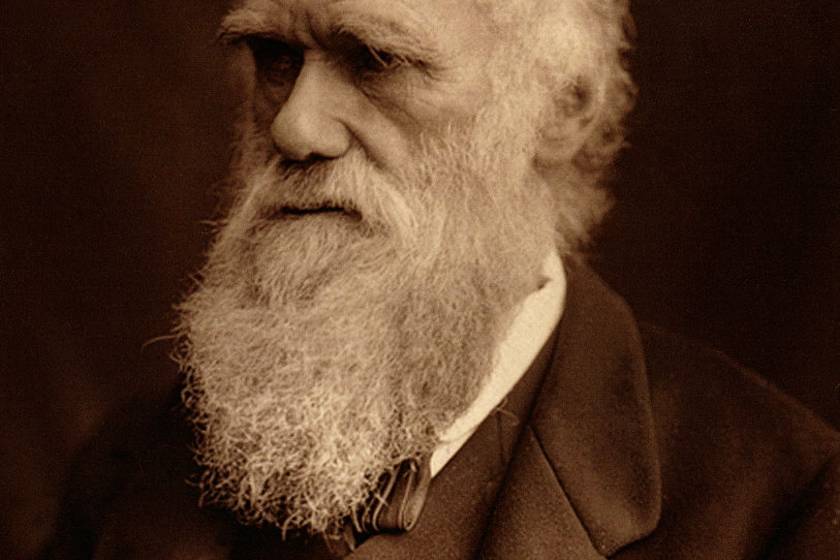 Charles Darwint lenyűgözte az őt körülvevő állatvilág, mindent tudni akart róluk. Az ízüket is beleértve. Darwin először a Cambridge-i diákévei alatt kezdett el kísérletezni különbőz állat húsokkal. Sólymokat, keselyűket, baglyokat ettek. Később más egzotikus élőlényekkel, például pumával, óriásteknősökkel és iguánákkal is kísérletezett.