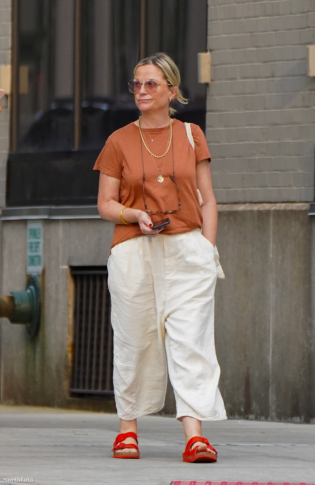 Amy Poehler New Yorkban sétálgatott, amikor a fotósok kiszúrták