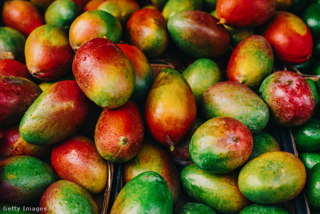 Számos fajtája létezik a mangónak