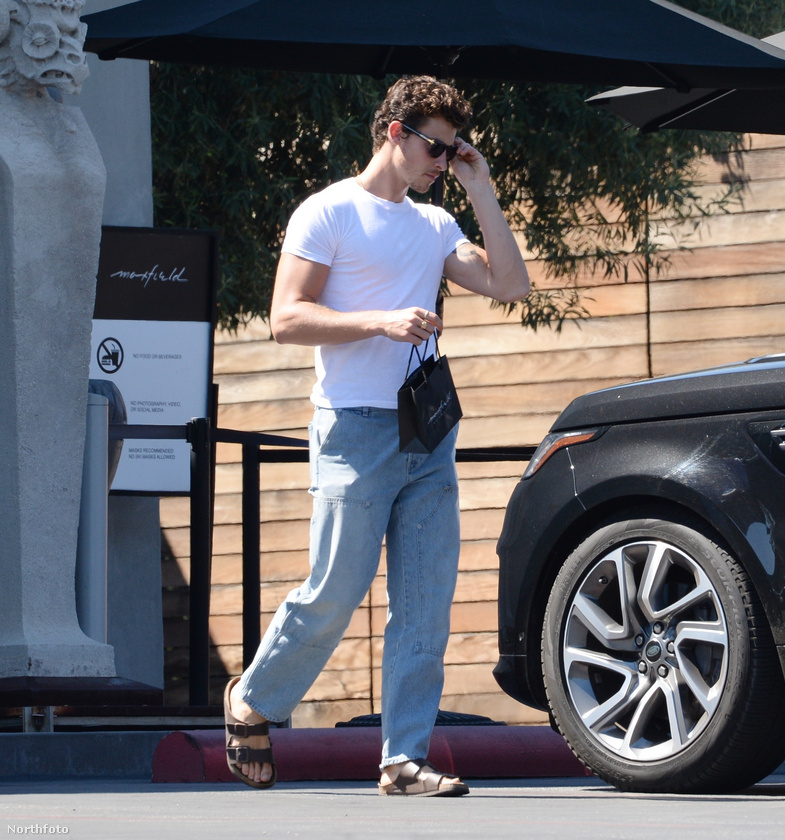 Shawn Mendes Nyugat-Hollywoodban vásárolgatott, amikor lefotózták
