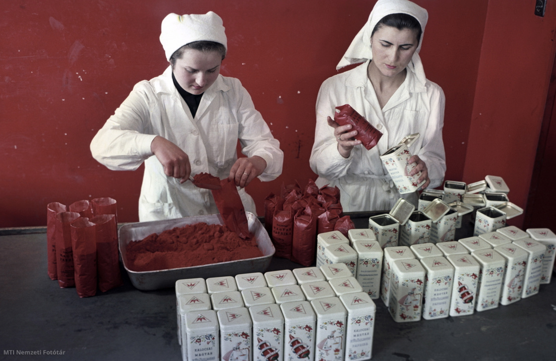 Kalocsa, 1960. március 11. Zacskókba és fémdobozokba csomagolják a fűszerpaprika-őrleményt a Kalocsai Paprikafeldolgozó Vállalat dolgozói