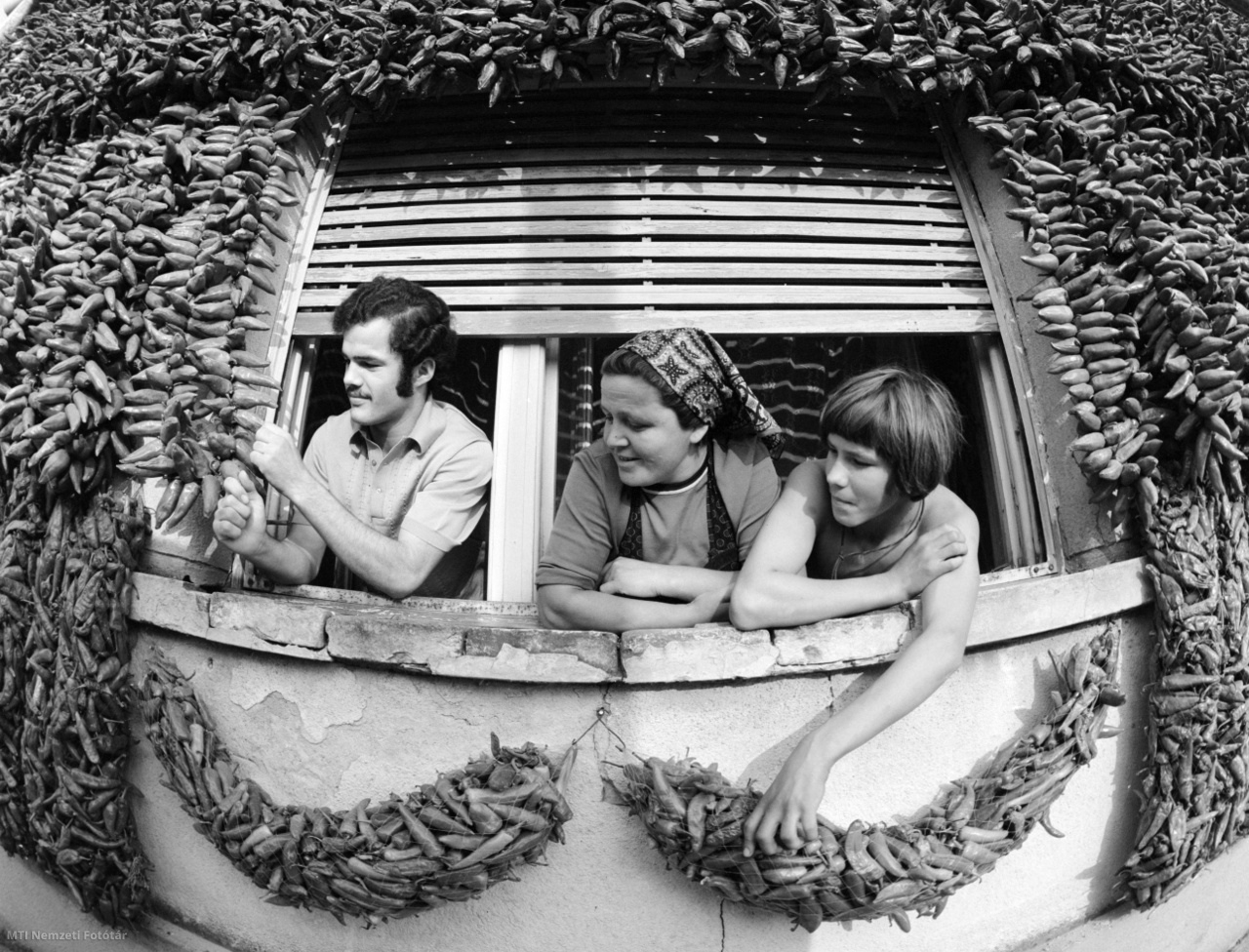 Kalocsa, 1975. szeptember 25. Fűszerpaprikát szárít egy család kalocsai házuk homlokzatán, a családtagok az ablakban könyökölve ellenőrzik a száradó fűszernövényt.