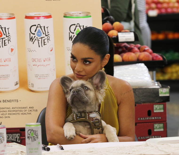 Vanessa Hudgens és imádnivaló kutyája a Los Angeles-i Pavilionsban látható, ahol a Caliwater nevű italának promócióját tartották