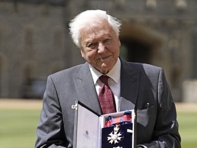 Bajban az emberiség David Attenborough szerint: „Ha most cselekszünk, még helyrehozhatjuk”