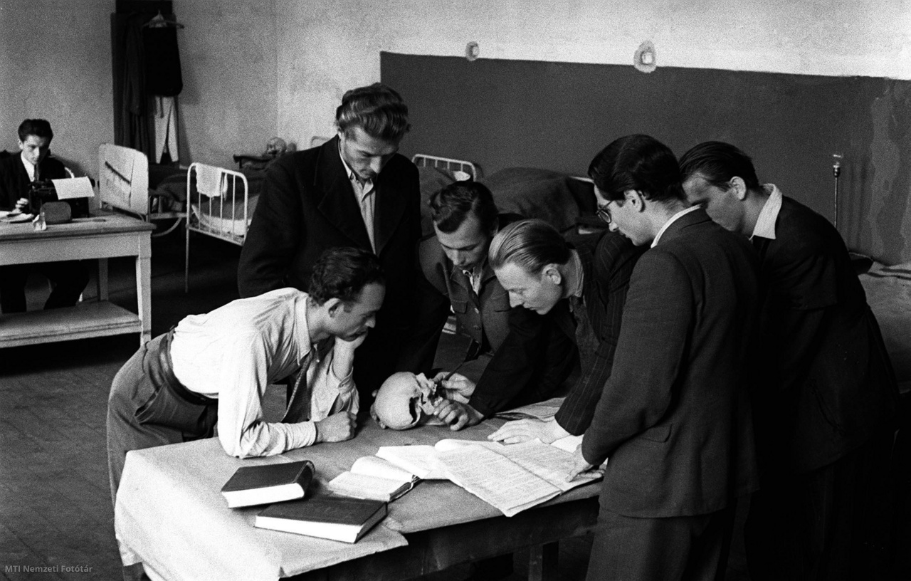Budapest, 1946. szeptember 14. Fiatal kollégisták egy csoportja anatómiát tanul a tanév megkezdése után az egyik fővárosi népi kollégiumban.
