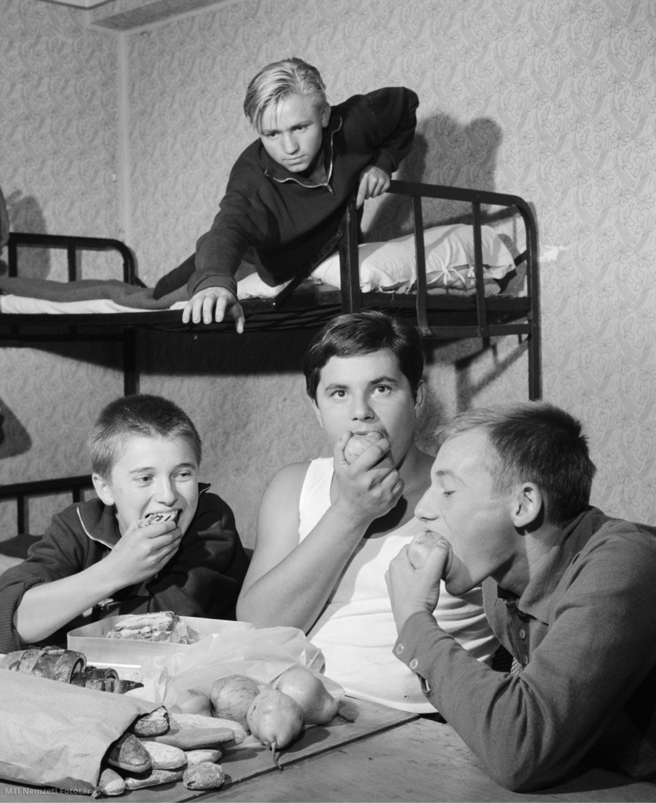 Miskolc, 1962. szeptember 21. Otthonról hozott süteményt és gyümölcsöt osztanak meg egymással a Petőfi Sándor fiúkollégium egyik szobájának lakói. Az intézménybe az idei tanév kezdetén 540 diák költözött be újra a borsodi falvakból, hogy megkezdje vagy folytassa középiskolai tanulmányait.