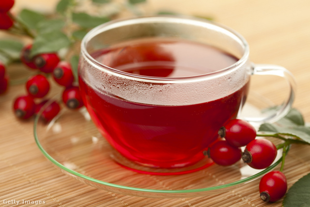 A frissen szedett csipkebogyóból készült teának van a legjelentősebb egészségmegőrző hatása