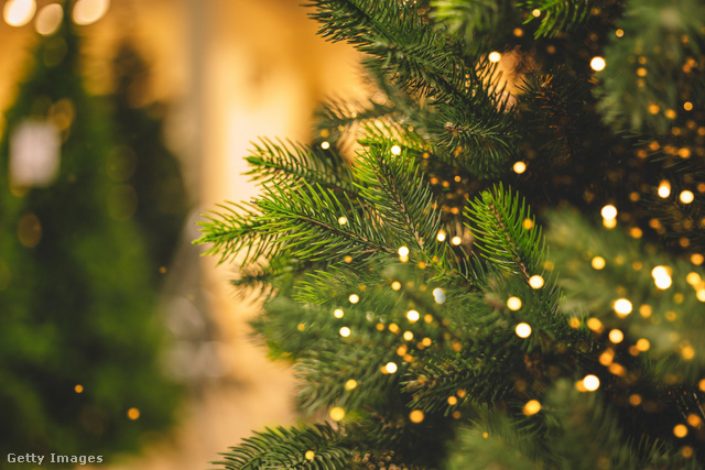 Vallásosként nem illene fát állítani karácsonykor, vagy ez csak félreértés?
