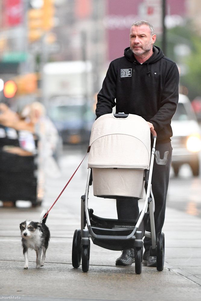 Az újdonsült apukát, Liev Schreibert New York utcáin fotózták le a paparazzik, ahogy babakocsit tologatva kutyát sétáltat