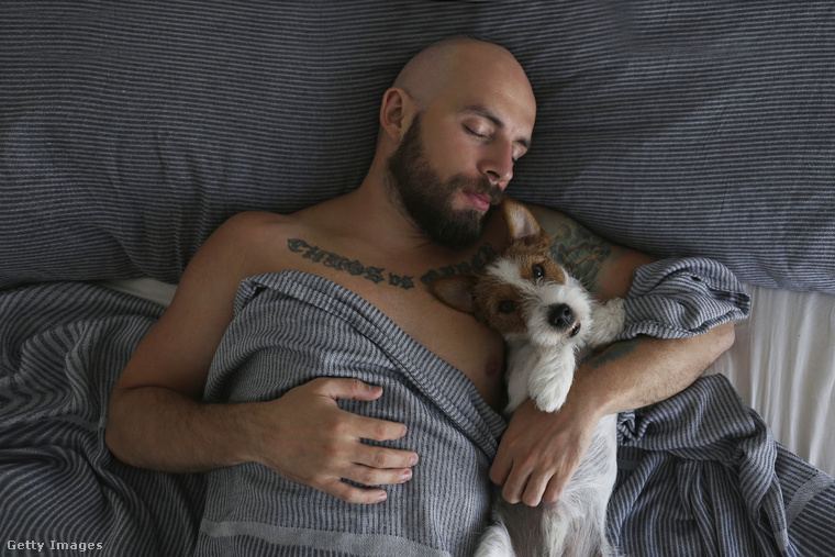 Kopasz férfi alszik egy kutyával az ágyban. (Fotó: Evrymmnt / Getty Images Hungary)