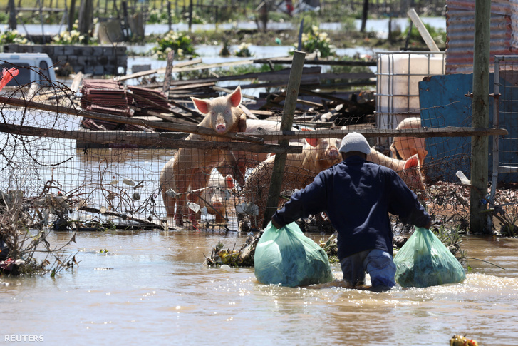 Egy férfi a vízben gázol, hogy megetesse az állatait Khayelitsha-ban, miután a heves esőzések kiterjedt áradásokat okoztak a Nyugat-fokvidéken, Dél-Afrikában 2023. szeptember 26-án