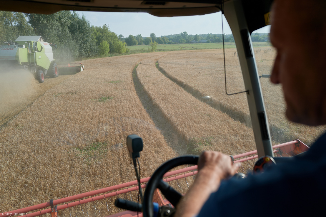 Mezőgazdasági munkások aratnak egy nagy árpaföldön az orosz határ közelében, Csernyihiv régióban 2023. augusztus 30-án