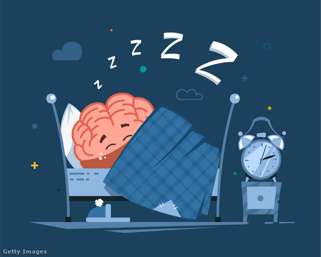 Éjjel agyunk pihen, testünk regenerálódik