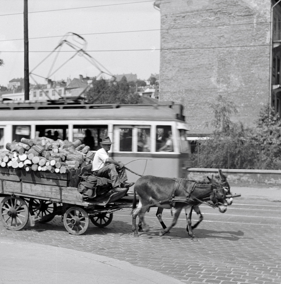 Budapest, 1957. július 19. A csacsifogat nyakhosszal vezet. Szállítják a téli tüzelőt.