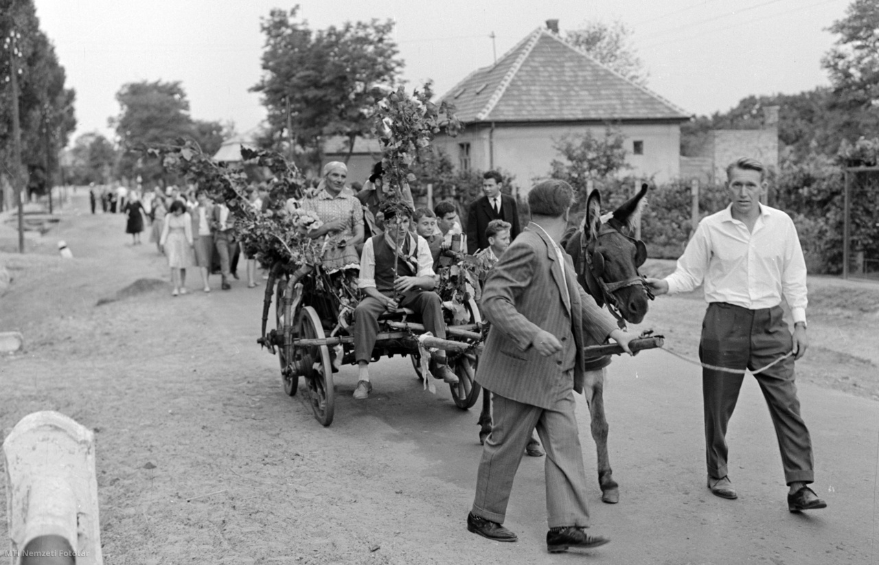 Ecser, 1964. augusztus 15. Szamár vontatta szekéren mennek a meghívott falusiak a lakodalomba. A népviselet használata egyre ritkul, a falusiakban azonban él a hagyománytisztelet és egyre ritkábban ugyan, de egyes lakodalmakon előkerülnek a díszes öltözékek, felelevenednek a mókás népszokások és visszaidéződik a híres ecseri lakodalom.