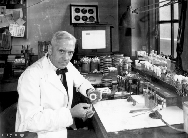 Alexander Fleming véletlenül fedezte fel a penicillint