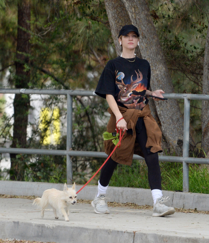 Brittany Snow éppen kutyát sétáltatott, amikor kiszúrták a paparazzik Los Angelesben