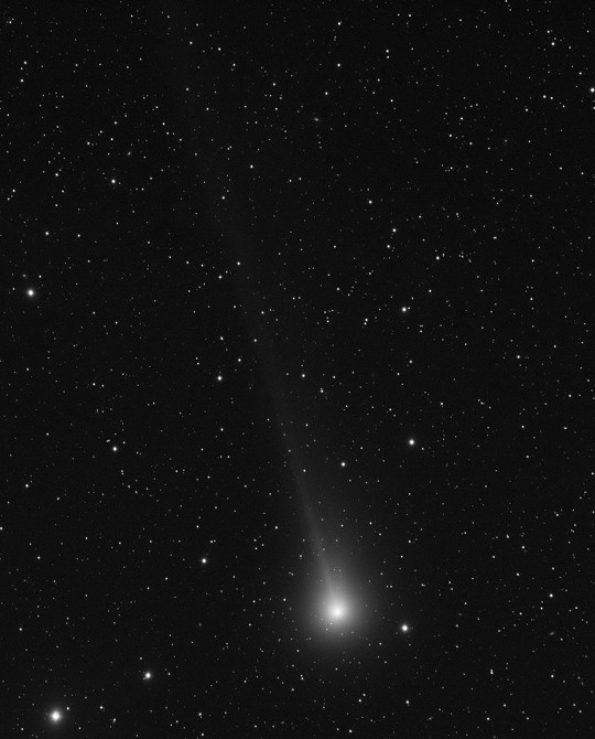 Az üstökös ioncsóvája 1,8 fok megtétele után fut le a képről, melyet Brlás Pál készített november 11-én hajnalban egy távvezérelt 10,6 cm-es Takahashi apokromáttal, 5 perc expozíciós idővel.