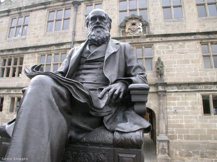 Darwin-szobor a Shrewsbury Könyvtár előtt